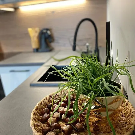 Eloft Saska Kepa 아파트 *